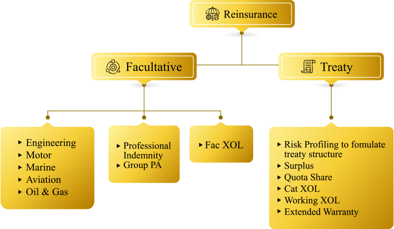 Business Structure