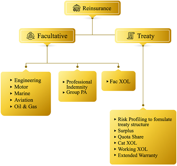 Business Structure